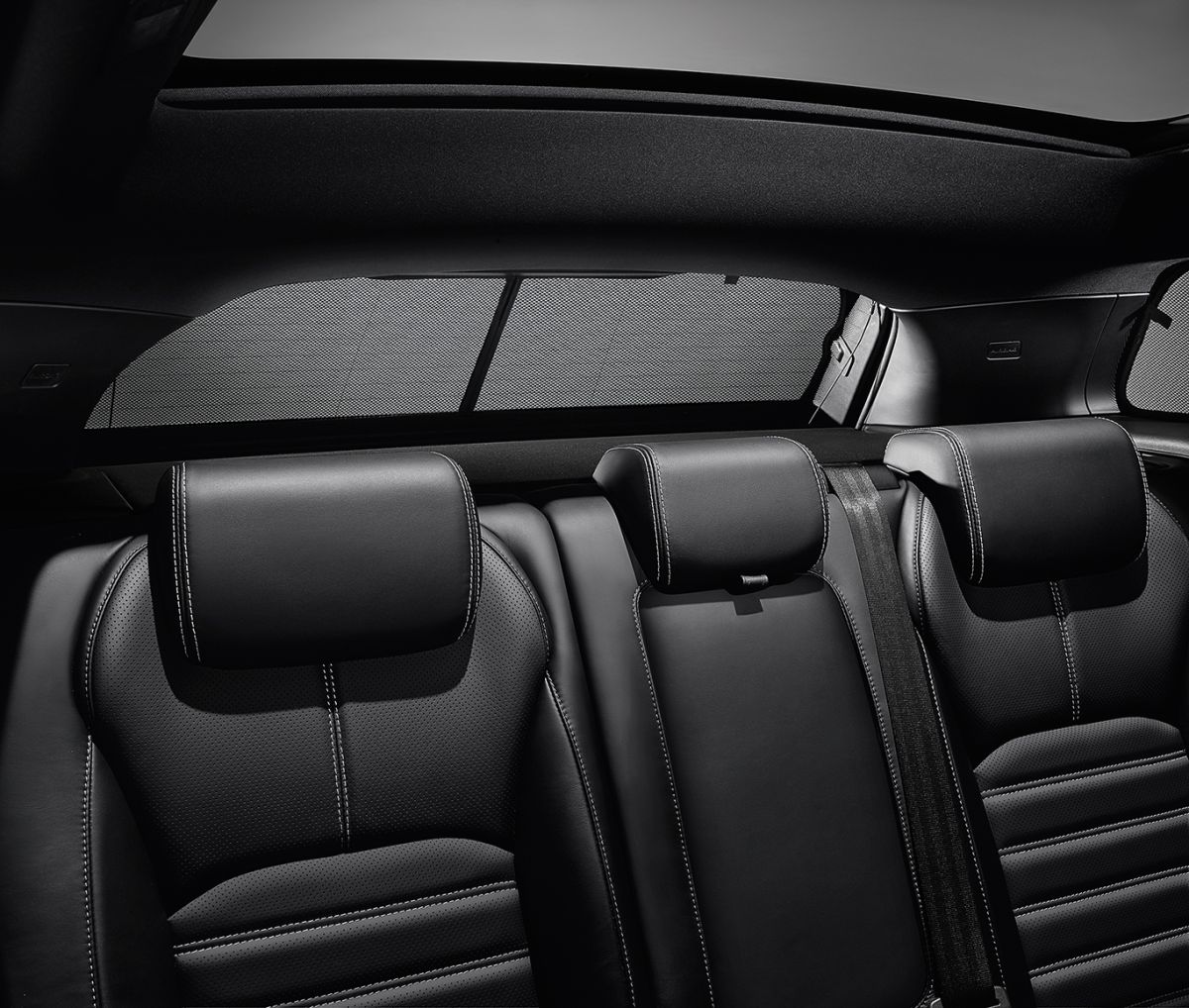 Sunshade - Rear Tailgate Sunshade - Rear Tailgate