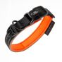 Above and Beyond Reflective Dog Collar - Small